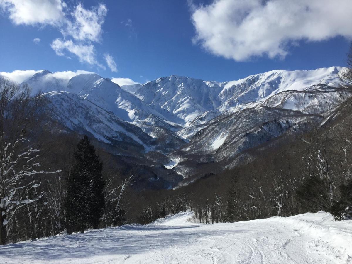 Lodge Blue Mount Hakuba Esterno foto